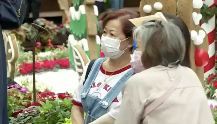 輸入型病例居高不下,新加坡會切斷VTL通道嗎