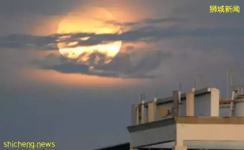 草莓月亮在新加坡刷屏,又是什麽新流量密碼