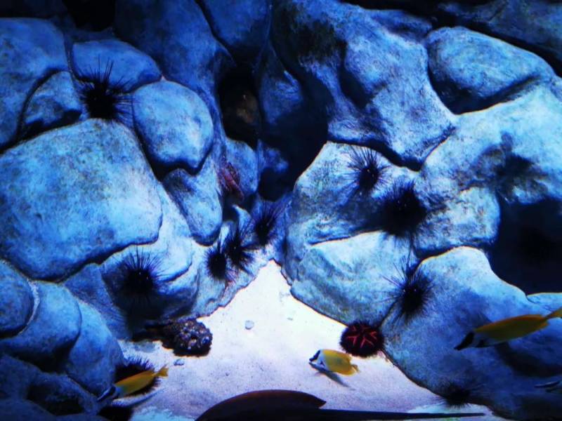 最後悔的一次旅遊經曆:新加坡