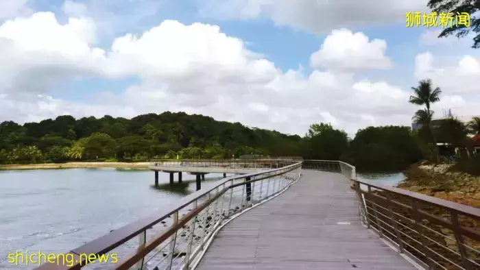 新加坡南部要建新公园,占地200公顷!这些地方太美了打卡必去