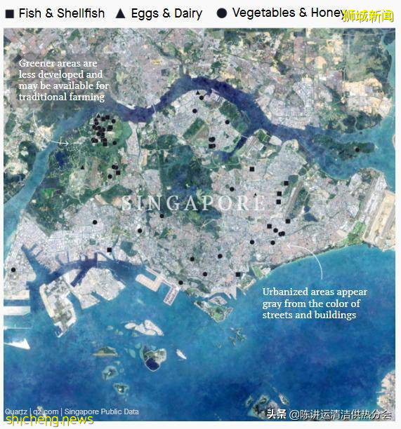 新加坡城市农场改善粮食安全的 3 种方式