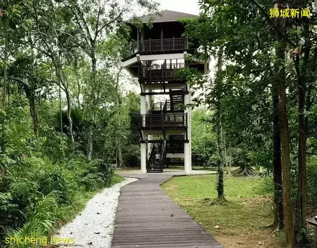 帶娃逛遍新加坡的森林和水庫，9條適合兒童徒步的路線