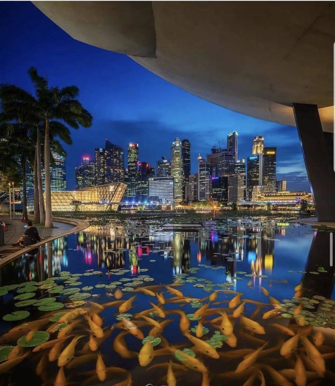 VCC基金與家族辦公室的強強結合，一步到位移民新加坡