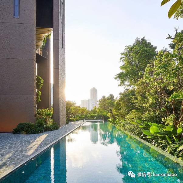 3亿新币买下乌节路整栋20层公寓买家浮出水面,原来是这对父子