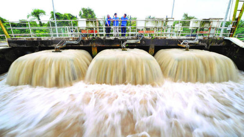 Johor River Ammonia.jpg