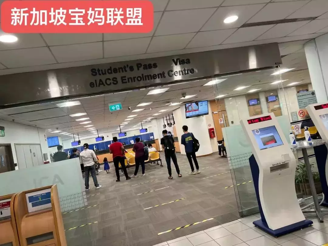 “来新加坡陪读,我们走过的那些辛苦路,不想要你再走了……”