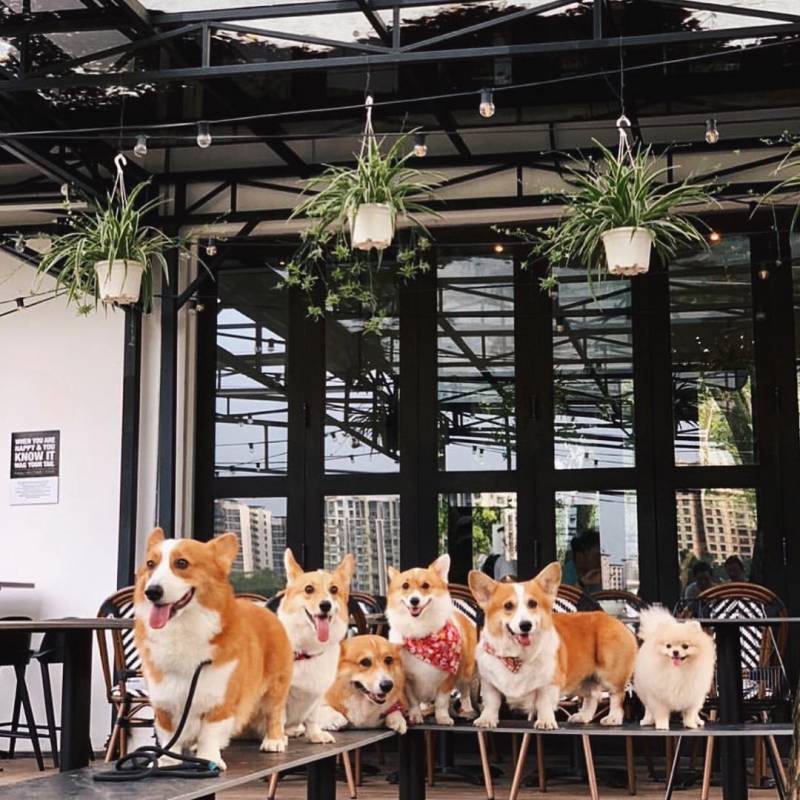 新加坡9家隐居山林的小众咖啡厅! 田园下午茶,绿意约会地