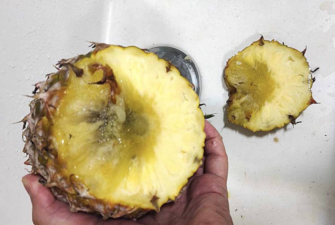 新加坡进口的台湾凤梨被吐槽！“这质量，送人都丢脸~”