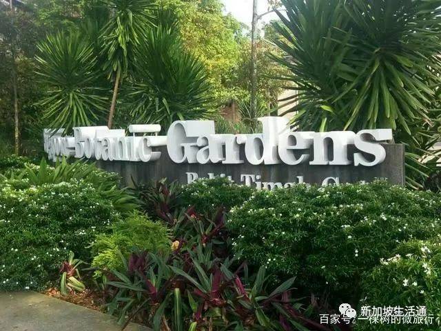 狮城旅游最被低估的景点——新加坡植物园，很多游客不知道