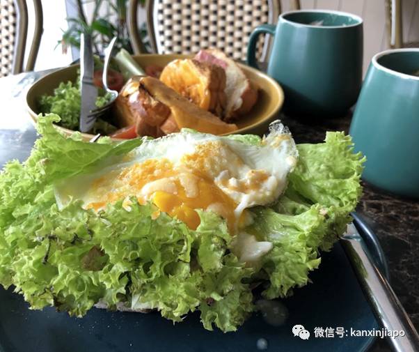 新加坡隐秘的角落，这些咖啡厅分分钟拍出ins大片水平