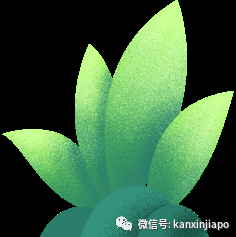 小心!室内装修后的这些问题会影响你的健康…