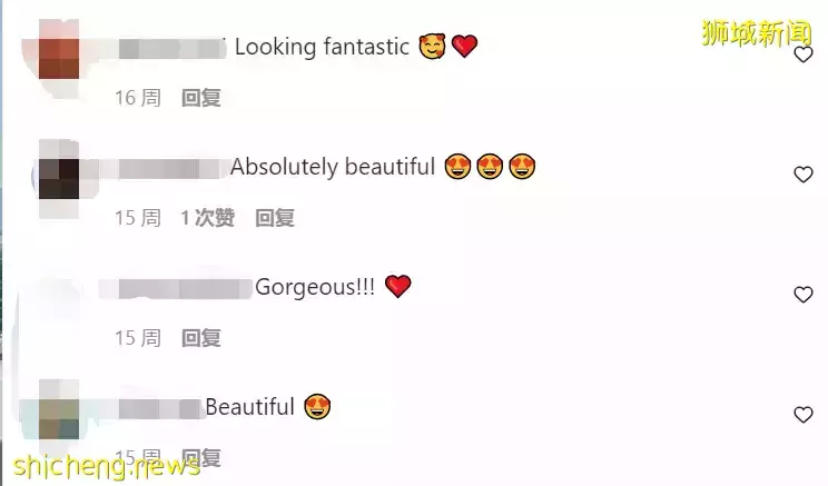 中国高颜值新移民成新加坡网红!个人照成交破750万新币