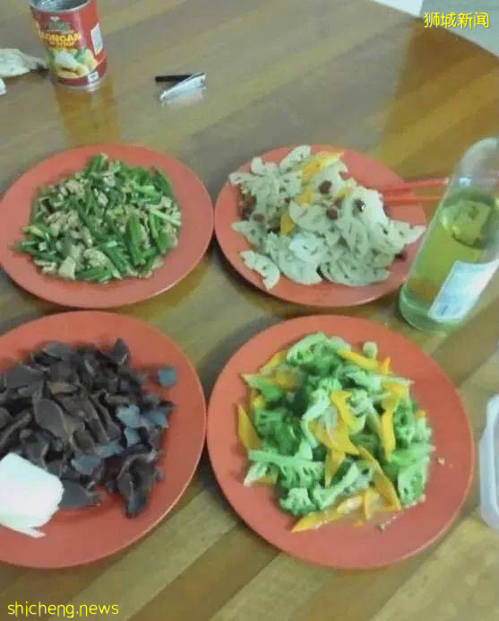 因疫情被困新加坡，歸國無望又遭電子詐騙，慘