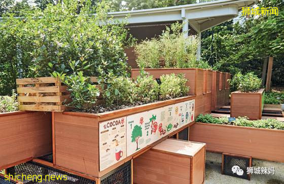 新加坡的娃太太太太幸福了！亞洲最大兒童花園，免~費~玩