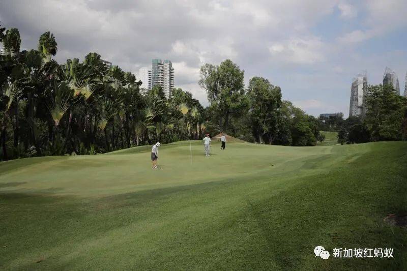 是否作爲住宅用地開發？　新加坡次森林最終命運交由下一代國人決定