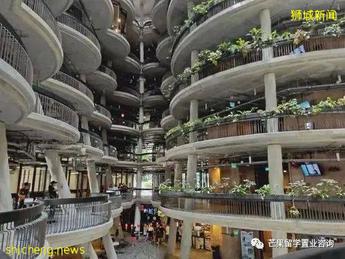 如何用高考成績申請新加坡的南洋理工大學