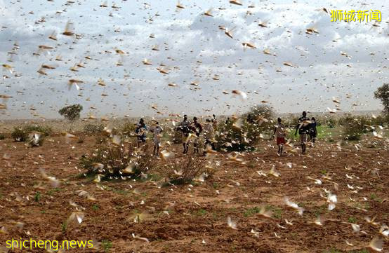 2020年，真的太難了