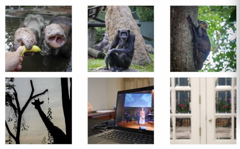 热议!李显龙开始休假!网友:龙哥会去哪里