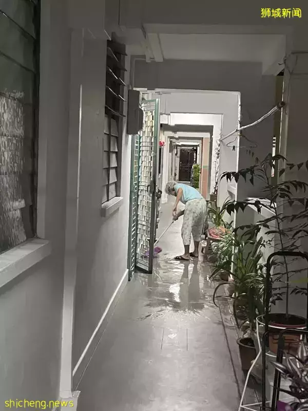 邻居惊恐发现！新加坡80岁老妇，伴儿子遗体一周