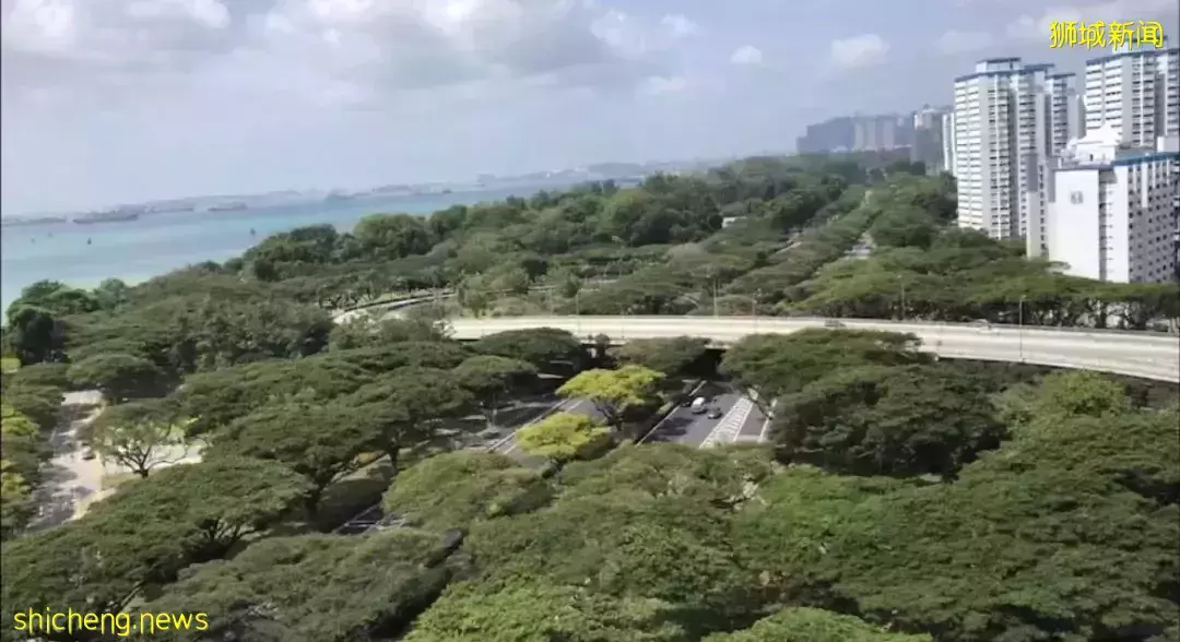 海景豪宅到底有多爽？新加坡东海岸度假风 永久地契公寓 The line@tanjong rhu 【俯瞰东海岸 远眺滨海湾】