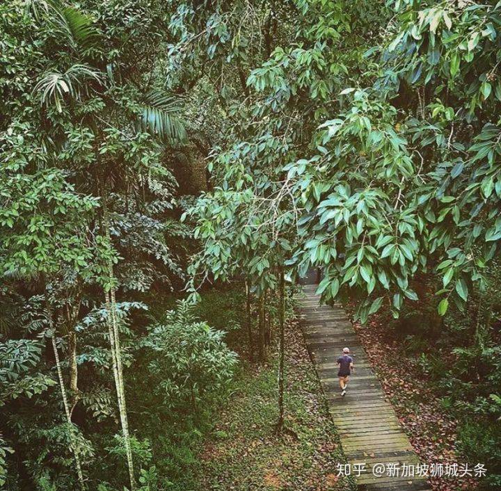 旅行的意義—攝影攻略之巴西立地鐵站