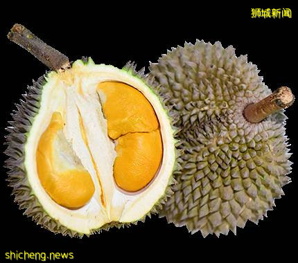 新加坡美食攻略之 -----榴梿篇