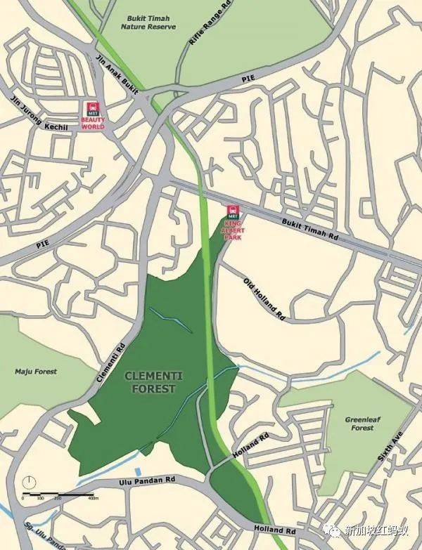 新加坡隐藏版秘境 绝美的金文泰森林