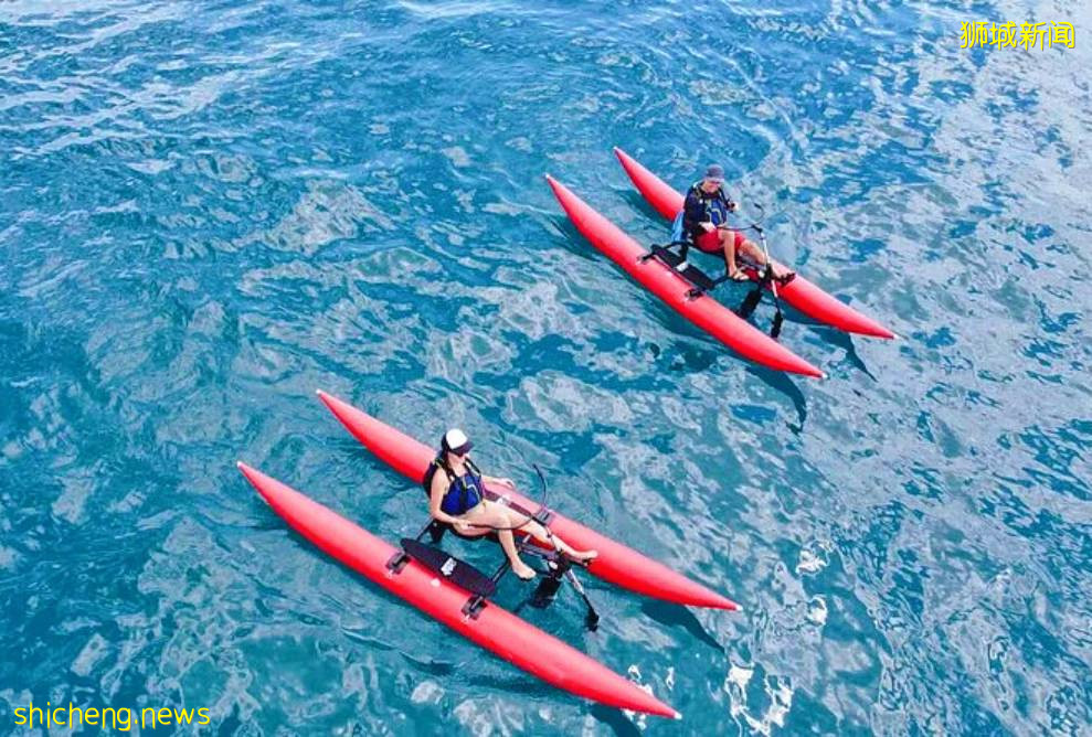 首家!新加坡也有水上自行车了,仅$30/时