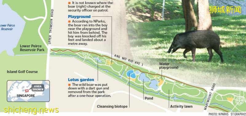 解封後，新加坡有“一對情侶”在馬路上沒戴口罩，公然擁抱!