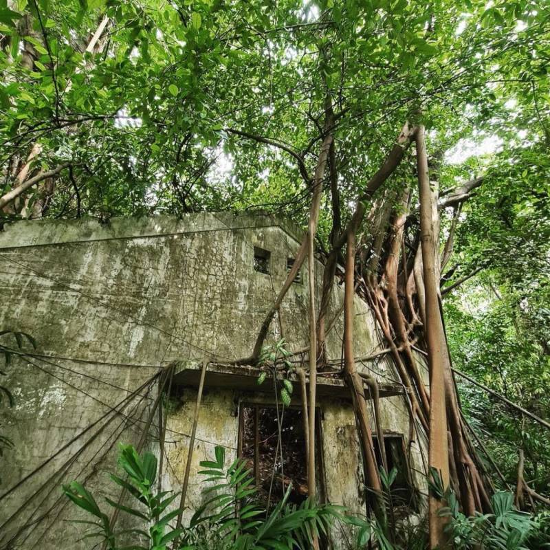 新加坡探险基地🧭 被遗弃的地堡！殖民期保留至今，岁月沧桑+攀藤弥漫的历史遗迹