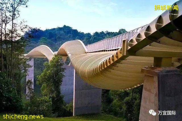 新加坡在悄悄改變!你發現了嗎