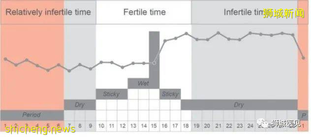 救命!家里的熊孩子不能再多了!新加坡这些避孕方法赶紧收好