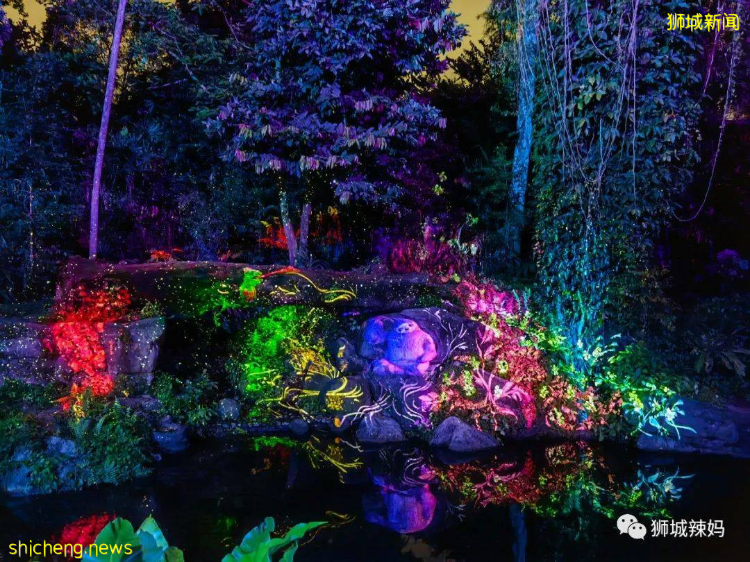 低至S$8！就3天！新加坡動物園“幻光雨林之夜”強勢回歸，亞洲第一夜遊體驗