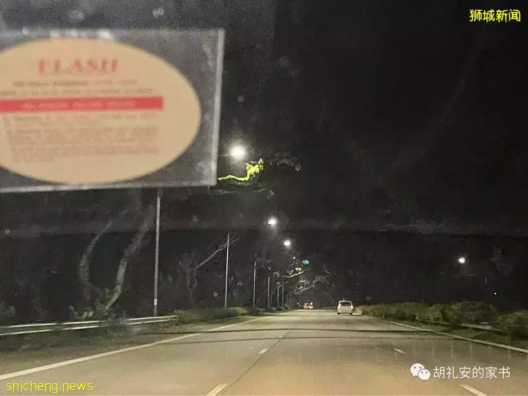 亲历！我从新加坡飞往“封城”中的上海，分享入境隔离全过程