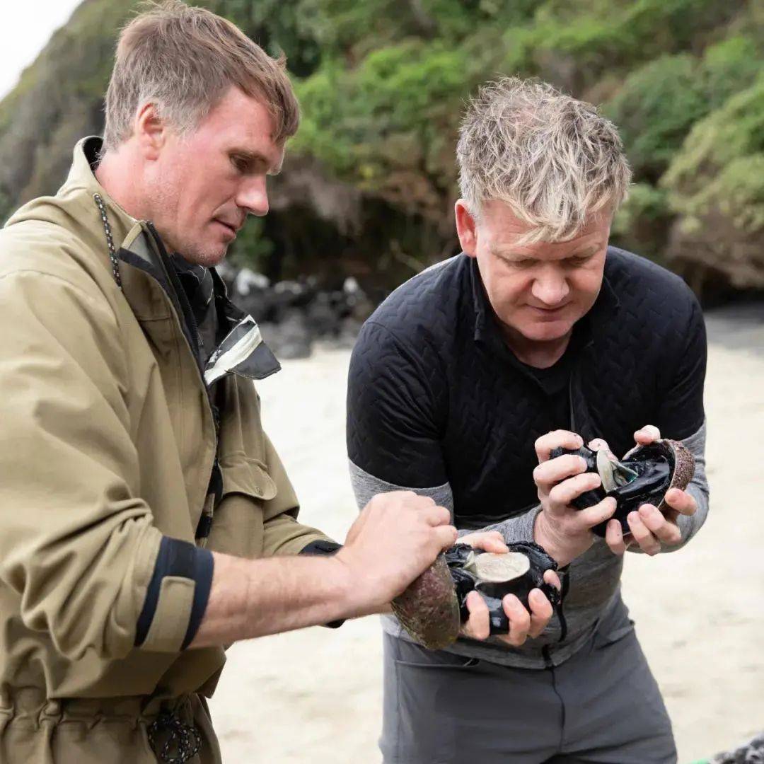 Disney+登陸新加坡，六大品牌不容錯過