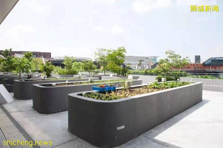 新加坡是怎样一步步成为“花园城市”的!