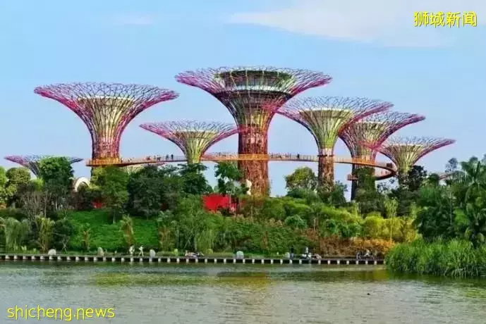 新加坡“绿色”建筑大赏