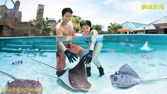 清凉一夏💦 圣淘沙水上探险乐园重开!入场门票推出优惠价格🔝 最低价票只要S$20