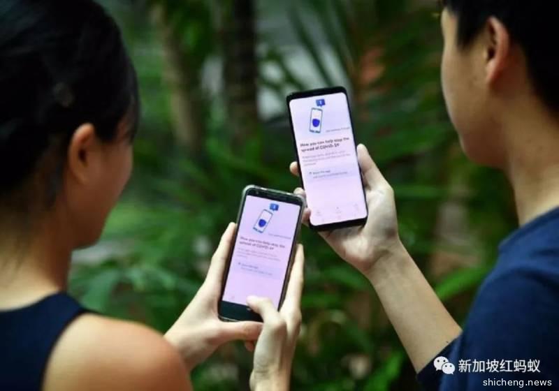 新加坡的冠病信息太多无从下手？　有了这个“懒人包”就不用愁