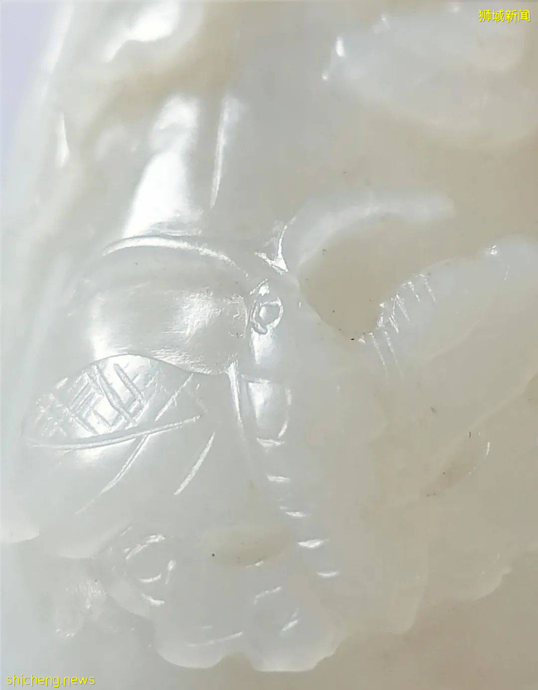 海外珍藏青瓷、建盞等瓷中奇葩荟聚獅城,新加坡國際必買好物清單