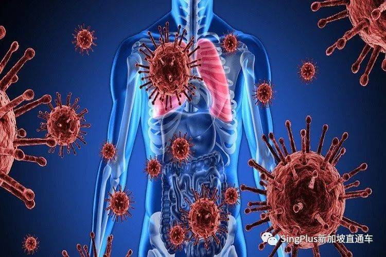 警惕！這個突變株致死率高了55%！新加坡已出現至少25例病例