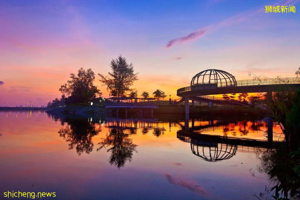 當騎行遇上新加坡,體驗獅城的無限魅力