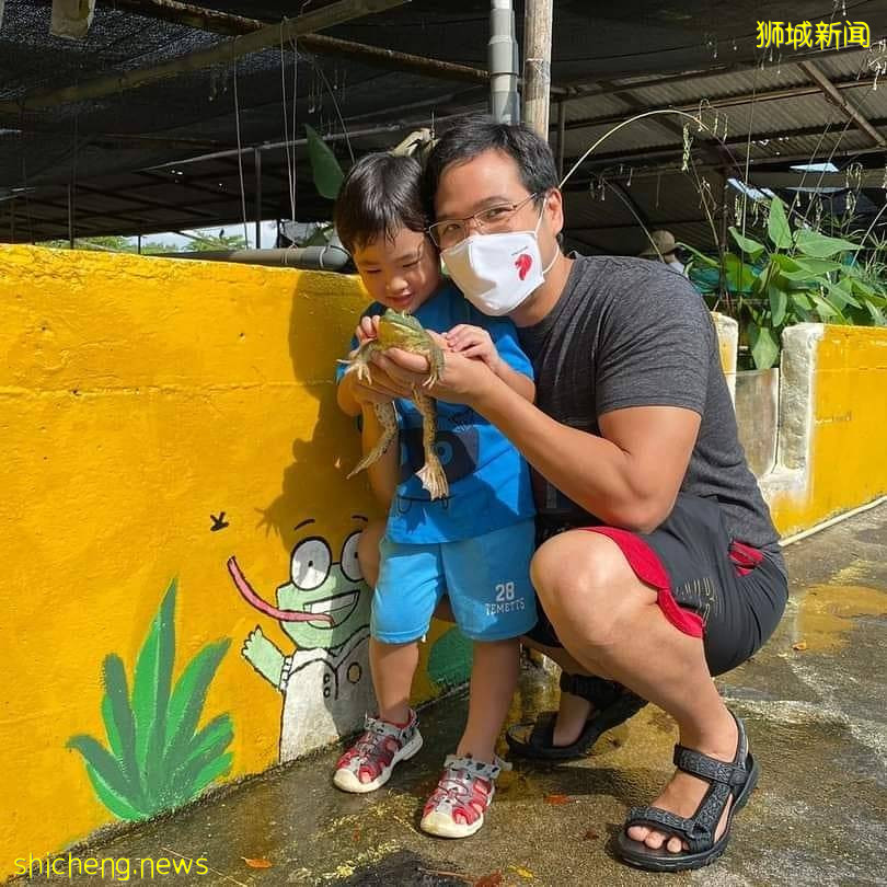 攻略收好、出發開啓親近動物之旅🦩從白天玩到晚上、10大景點近距離接觸小動物