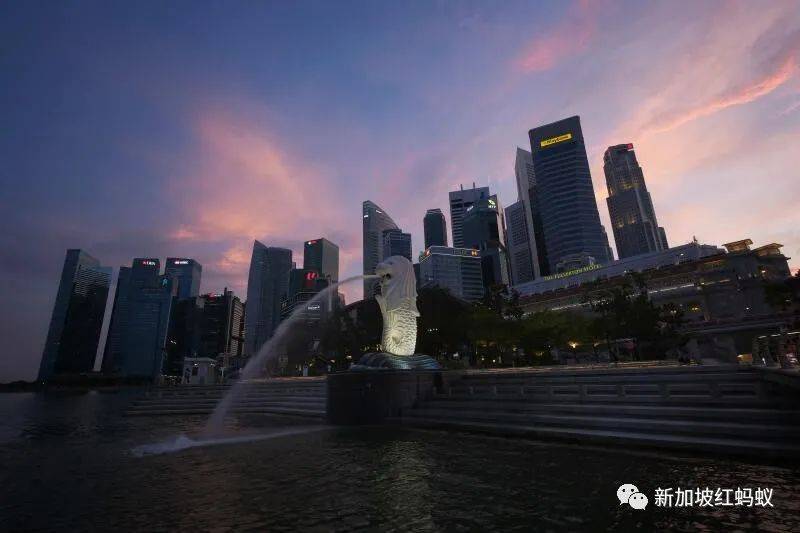 是否作爲住宅用地開發？　新加坡次森林最終命運交由下一代國人決定