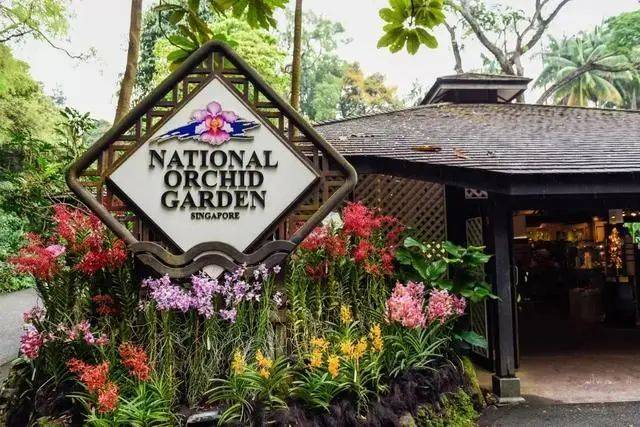 饭都不做的新加坡人靠什么“续命”?揭开真相后,羡慕了