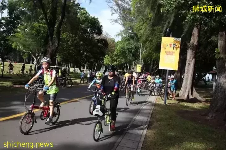 生活在新加坡底层，到底是一种什么样的体验