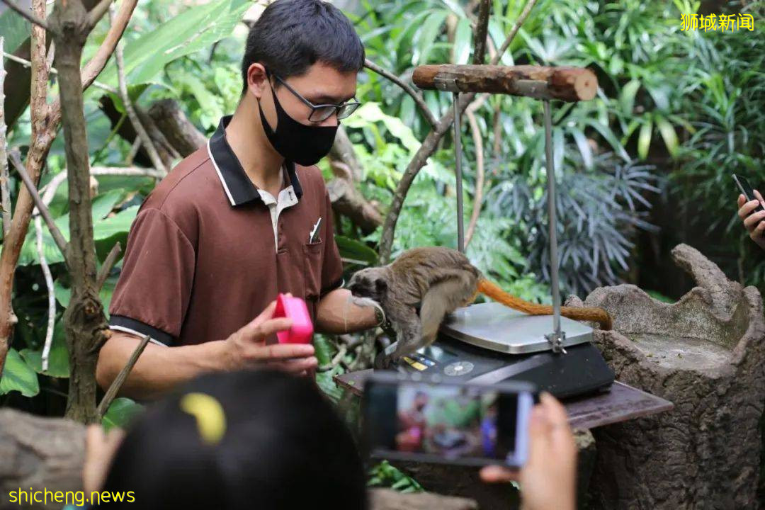 寶藏！新加坡本地媽媽最愛給娃看的7大網站，烹饪、運動、卡拉 OK，太好玩了