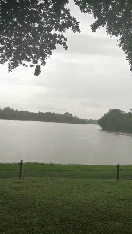 新加坡这么潮湿，衣服总晒不干怎么办！？100张自动洗衣卡免费送，抢