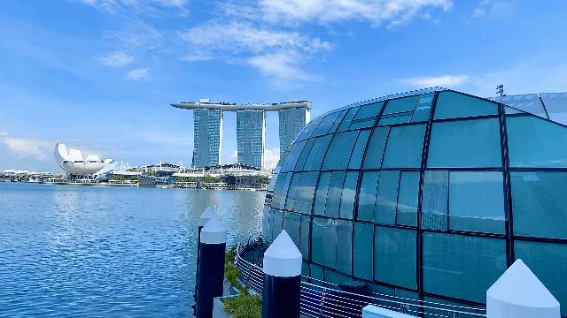 意大利舌尖上的藝術,落地濱海灣,帶來血統純正、愛吃巧克力的和牛