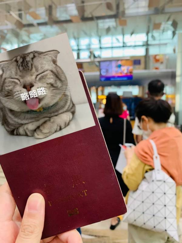 聽說很多人去了樟宜機場免稅區逛街？我們翹班去體驗了一把